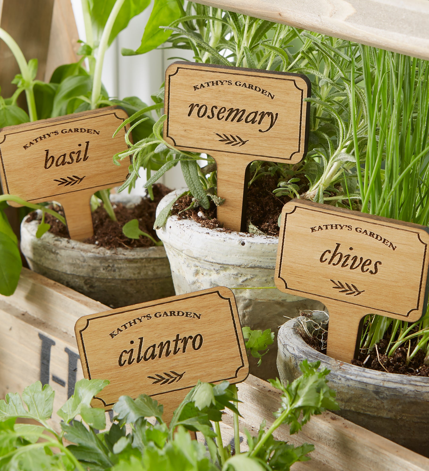 Herb Garden Personalized Plant Markers